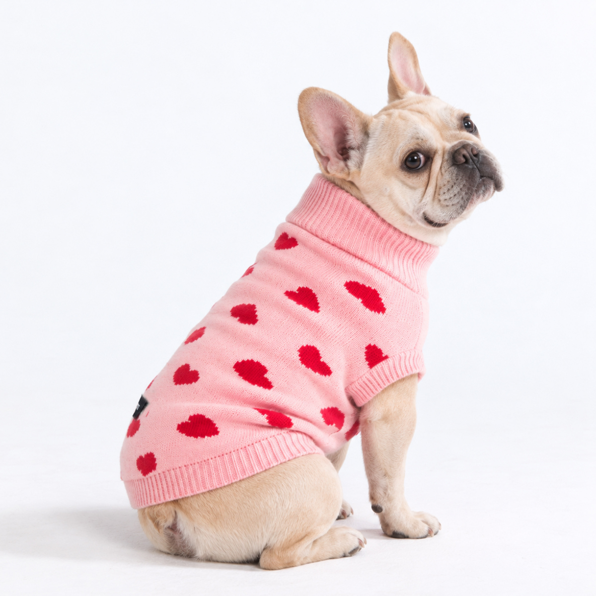 Hearts Knit Dog Sweater - Image 5
