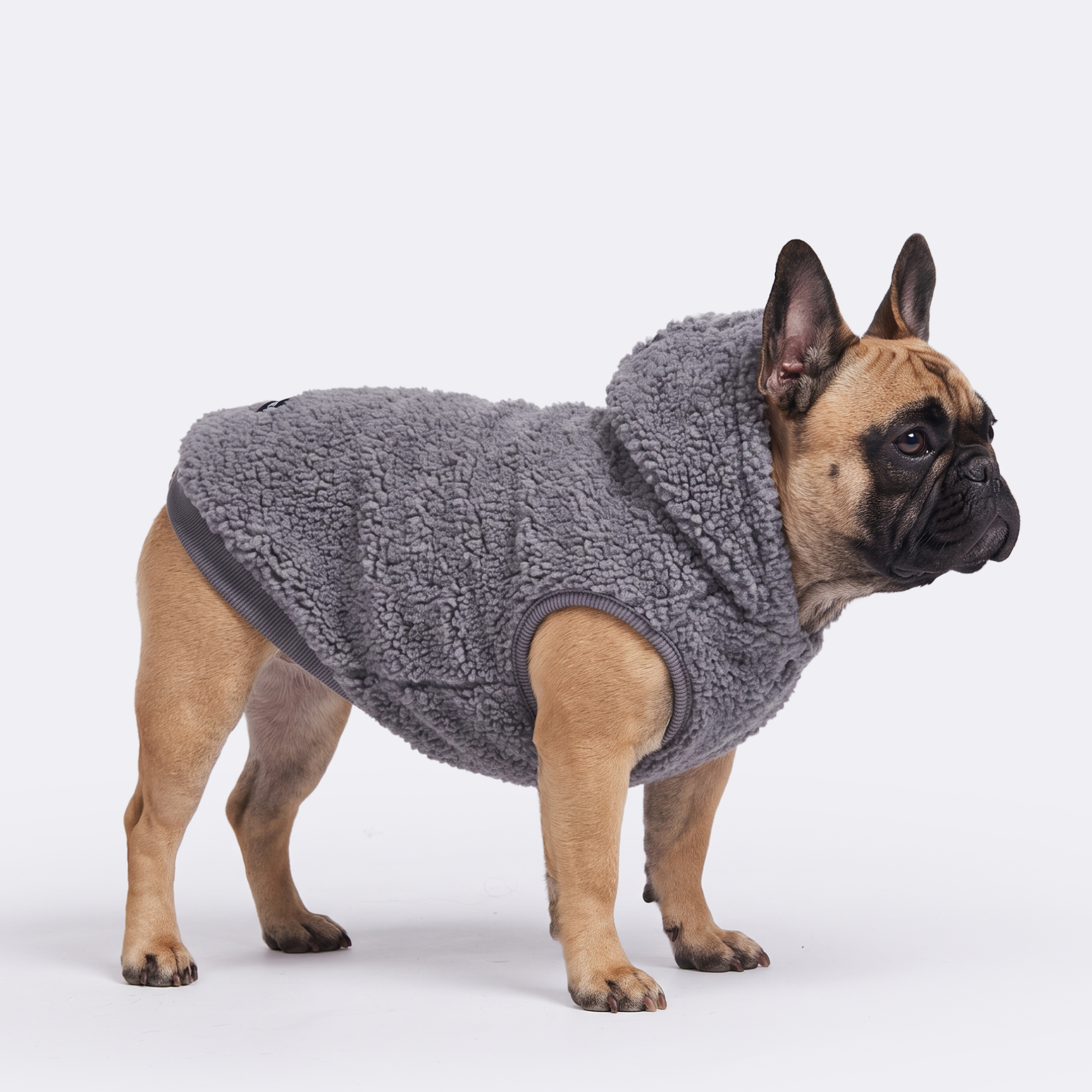 Teddy Sherpa Jacket - Grey - Image 5
