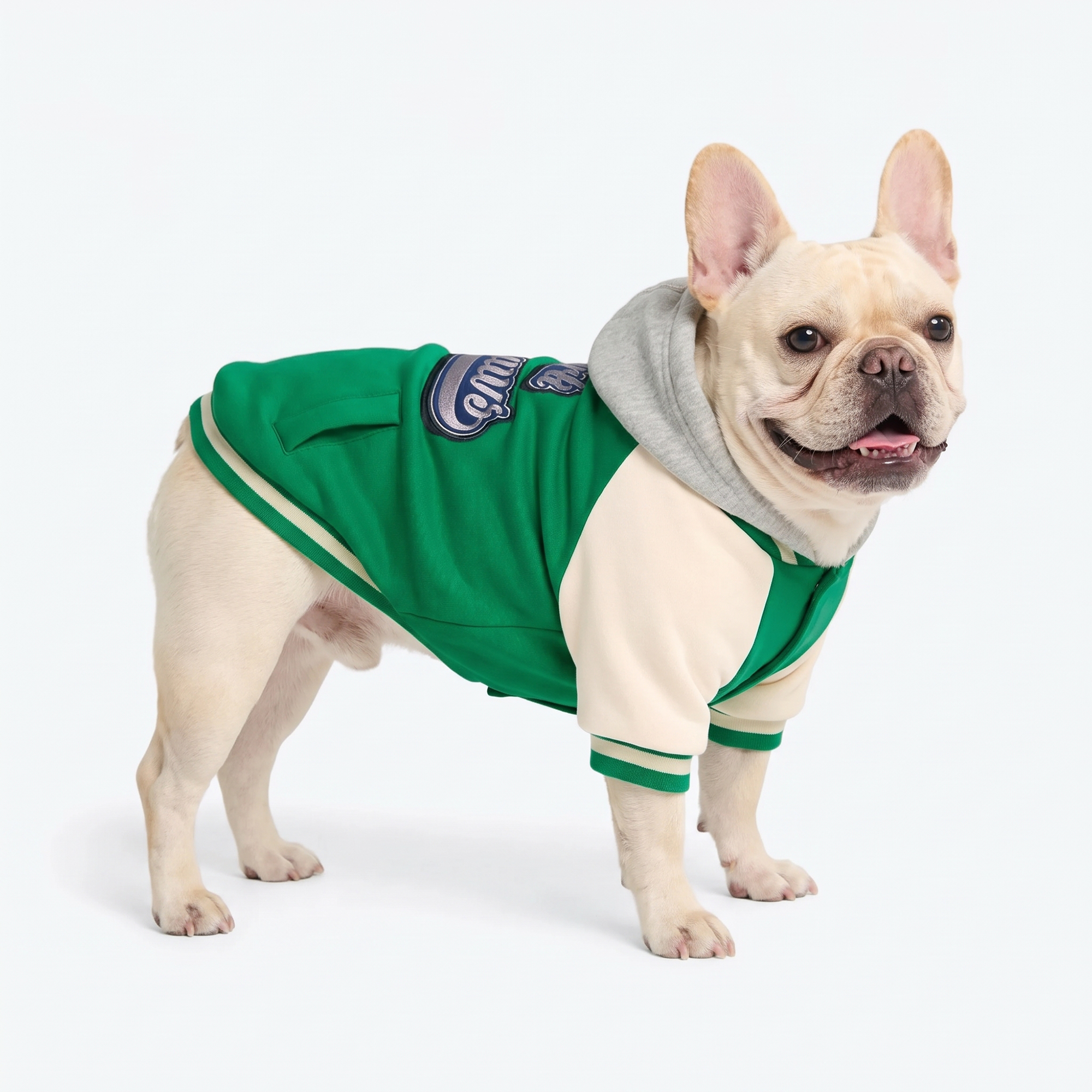 Dog Varsity Jacket - Green - Image 5
