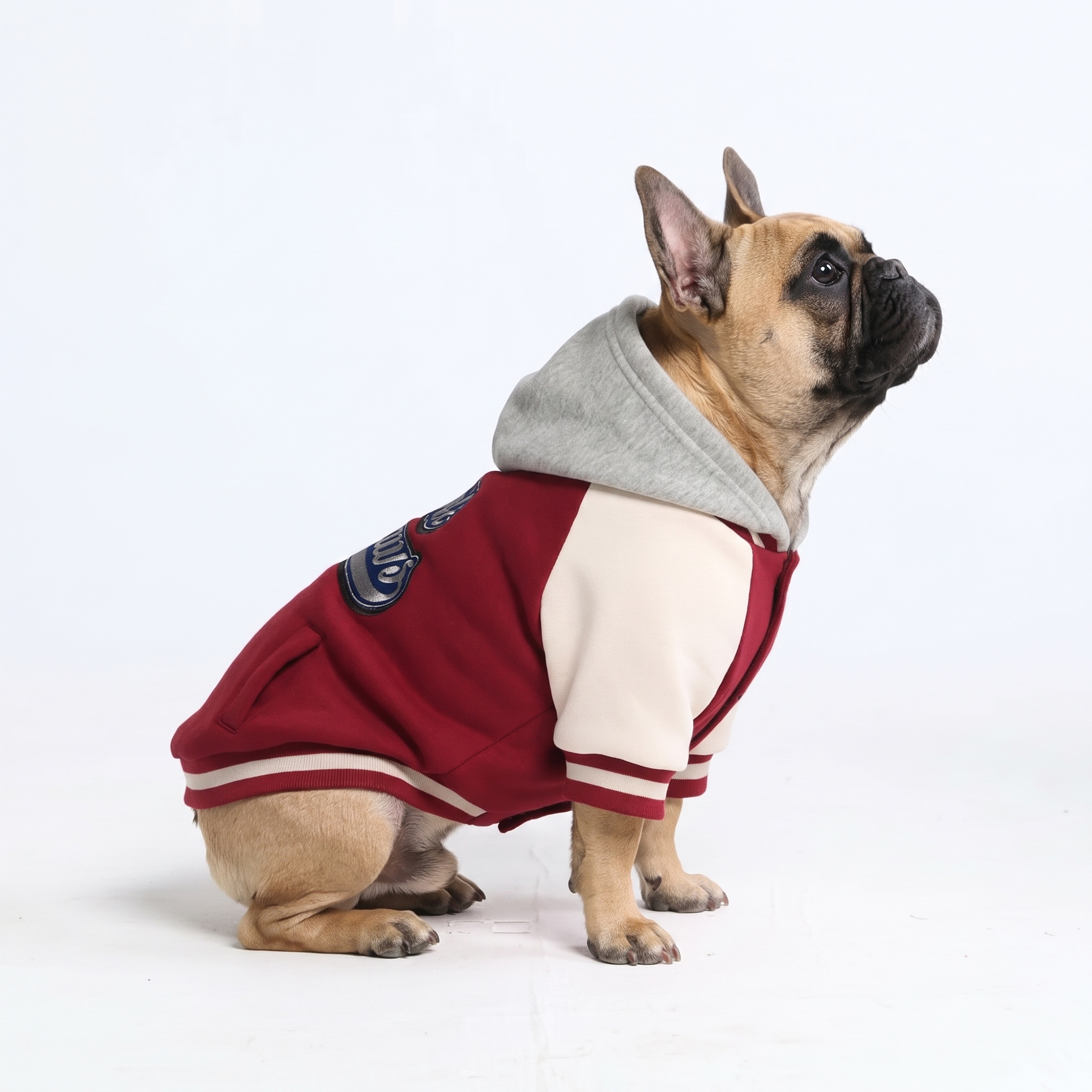 Dog Varsity Jacket - Red - Image 4