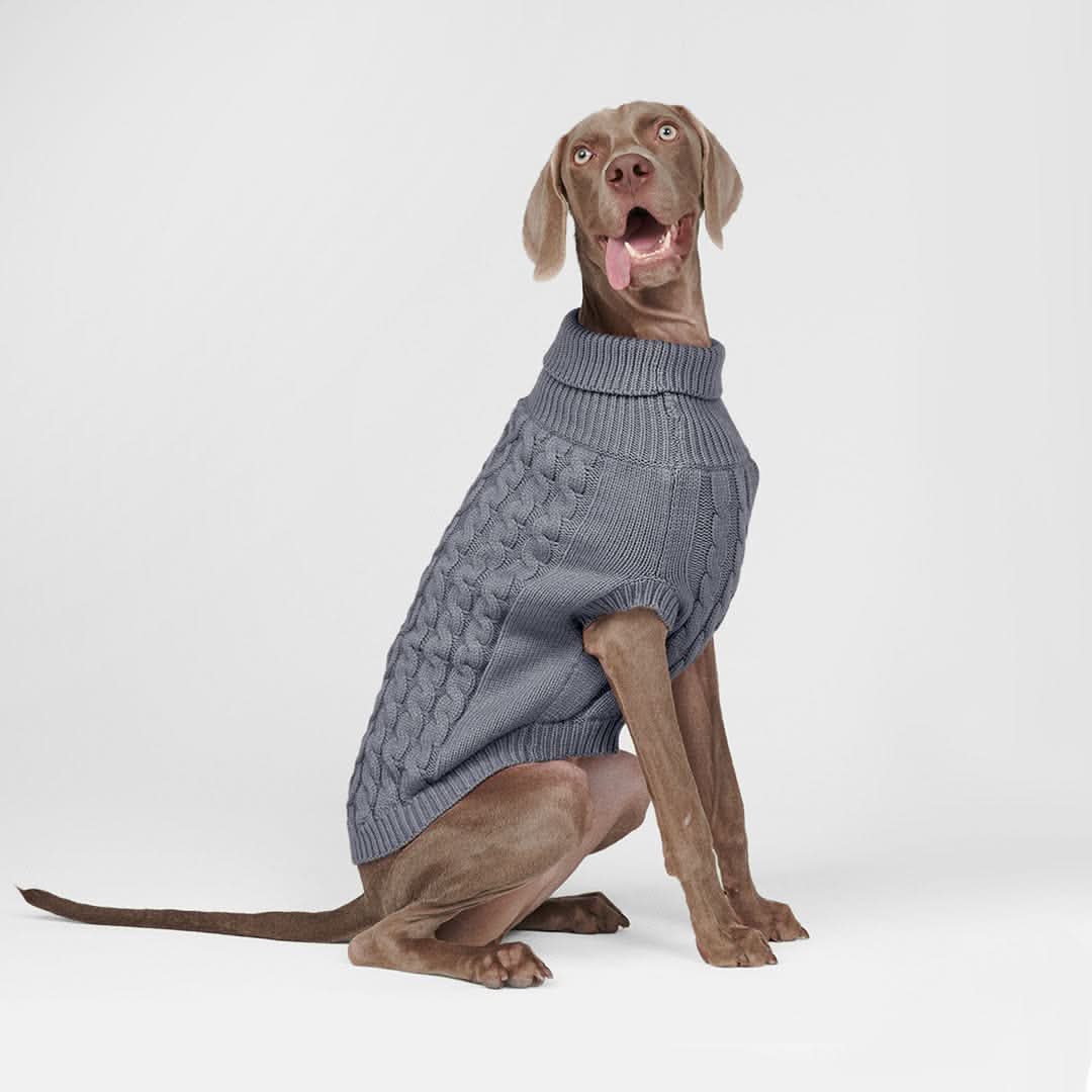 Cable Knit Dog Sweater - Grey - Image 5