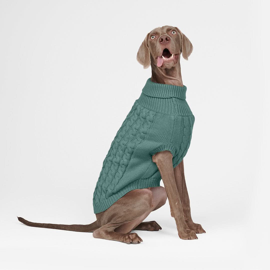 Cable Knit Dog Sweater - Pine Green - Image 13