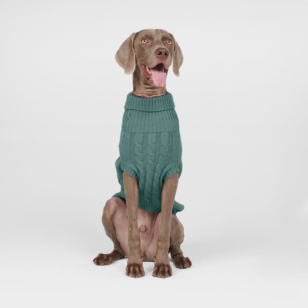 Cable Knit Dog Sweater - Pine Green - Image 12