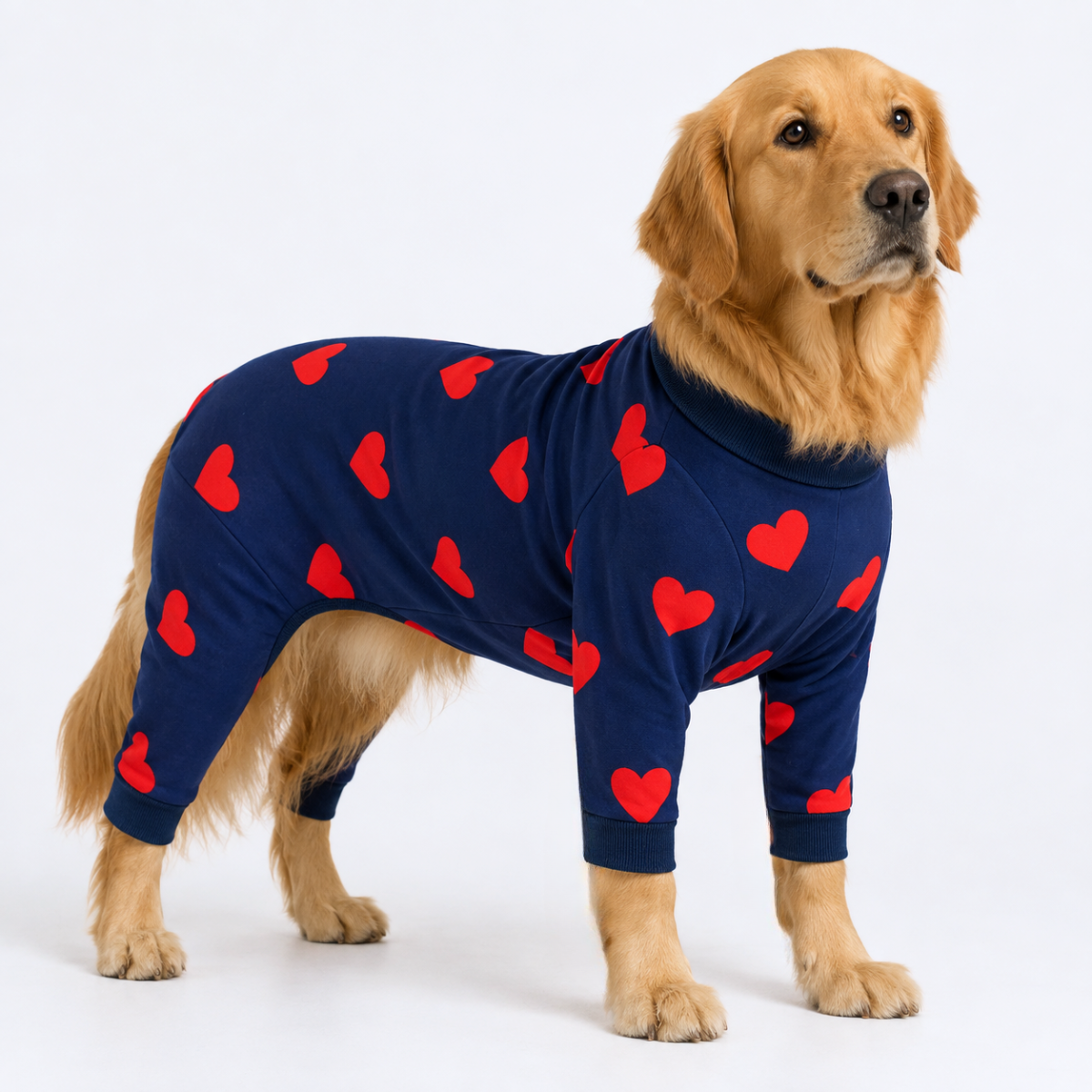 Dog Pajama - Hearts - Image 6