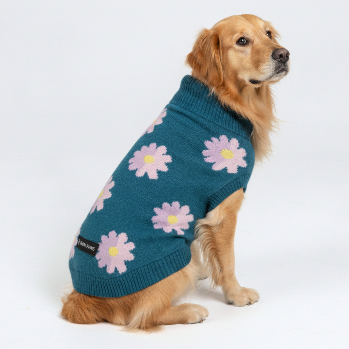 Flower Knit Dog Sweater - Image 5
