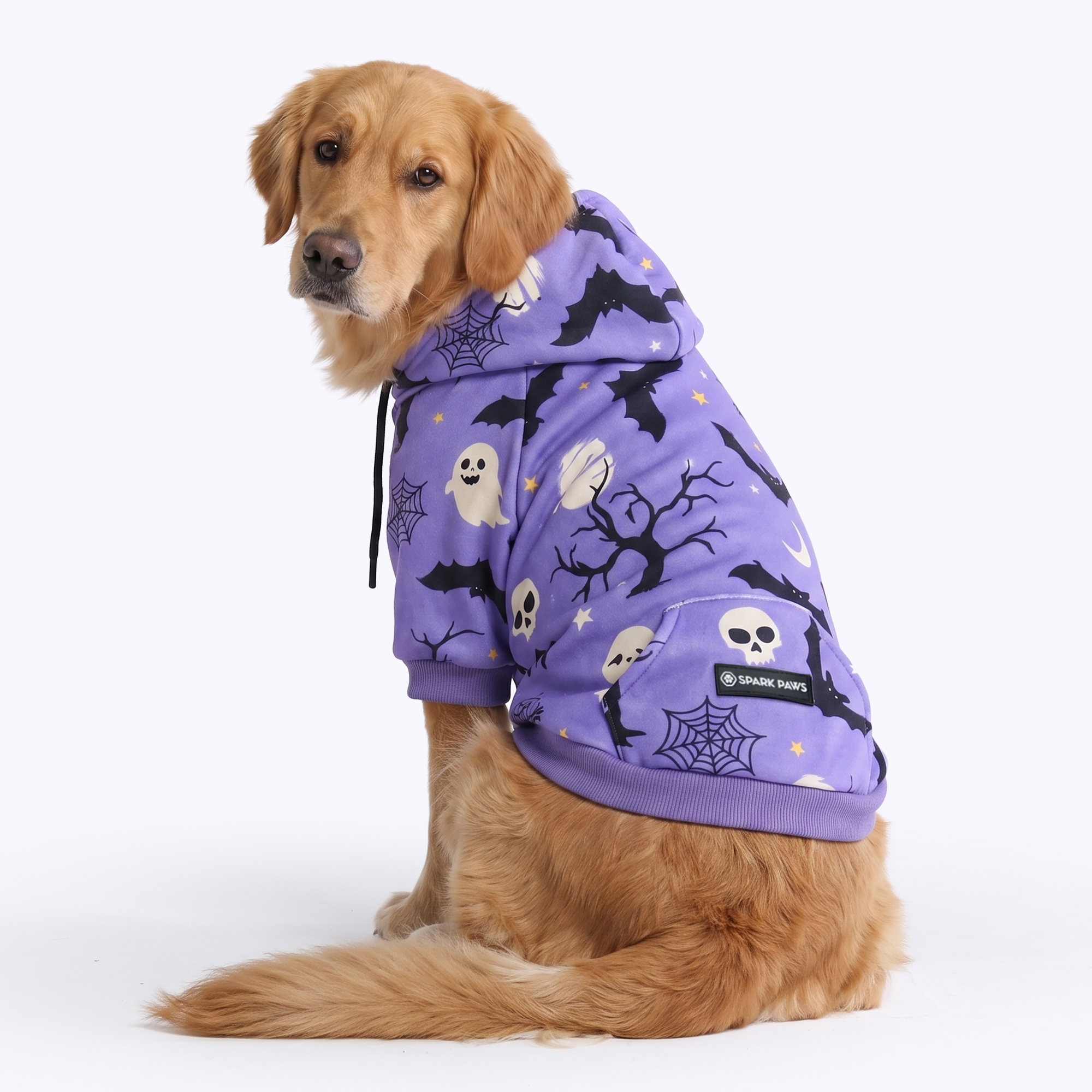 Halloween Dog Hoodie - Purple - Image 7