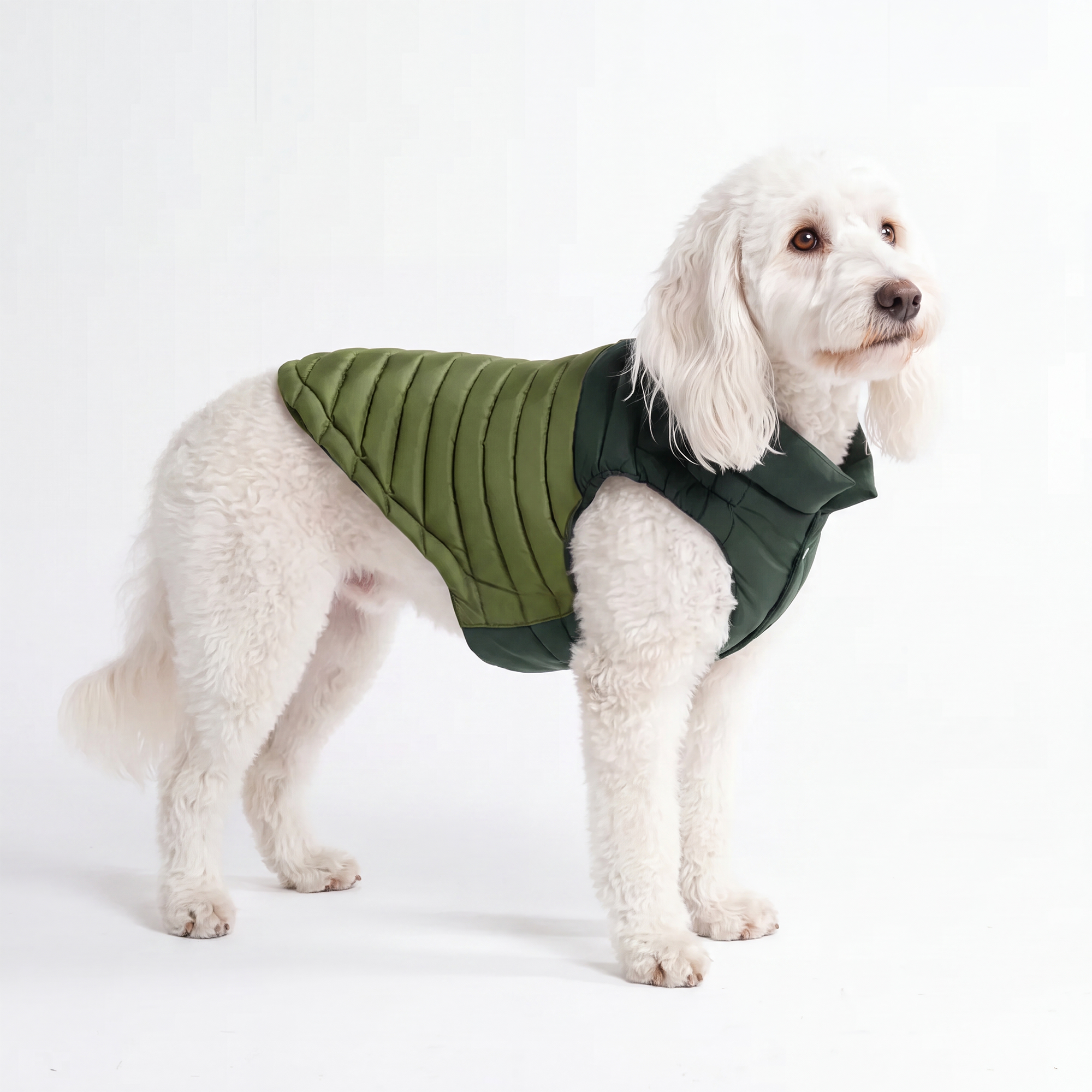 PuffShield Winter Jacket - Green - Image 3