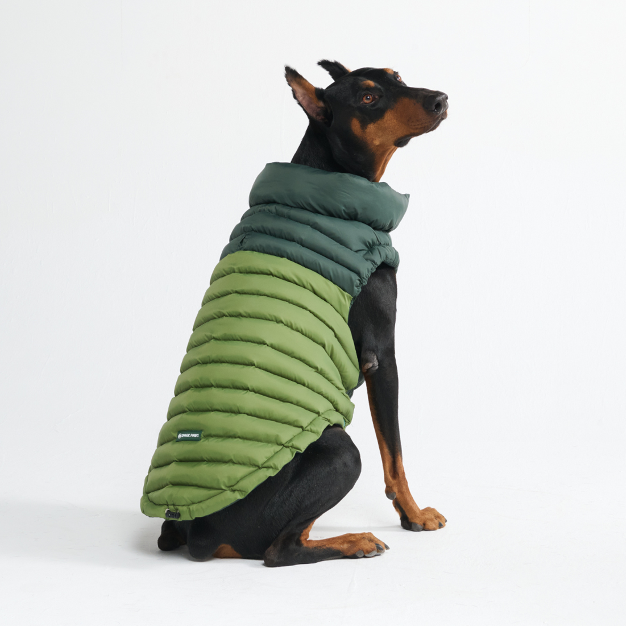 PuffShield Winter Jacket - Green - Image 4