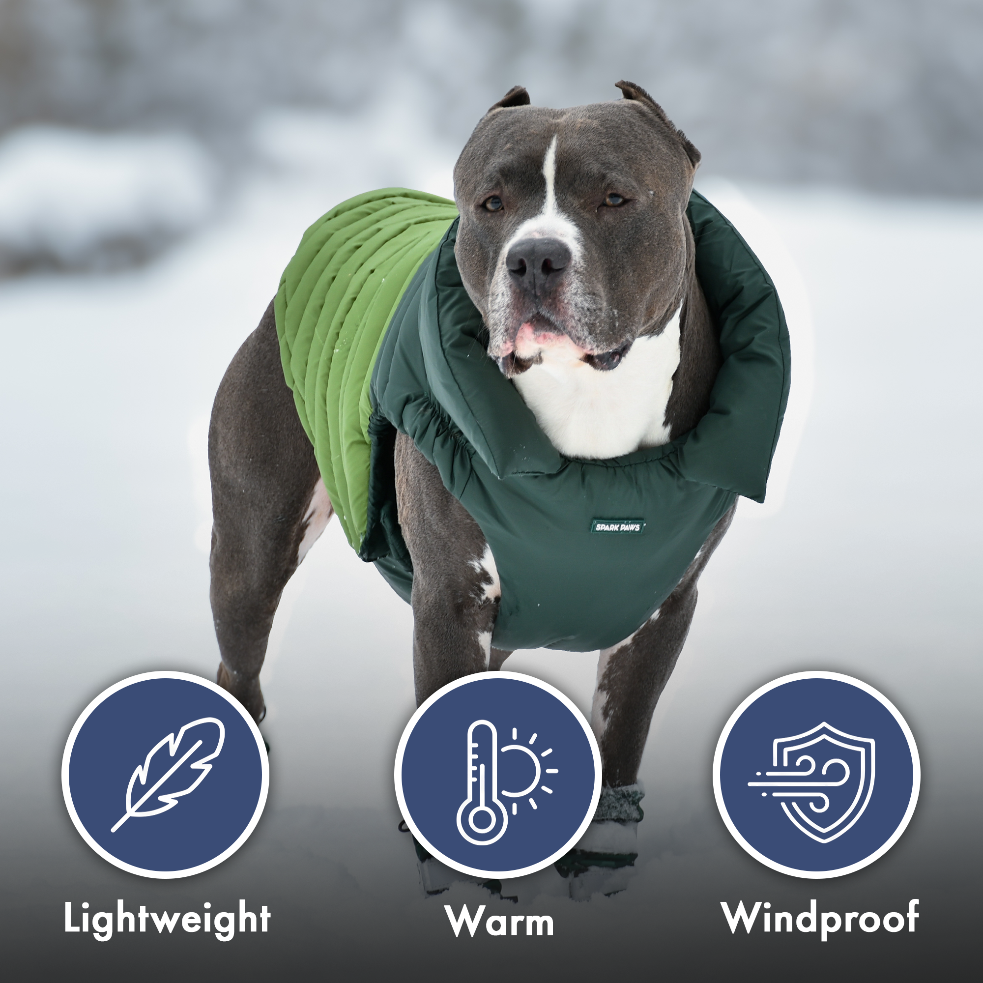 PuffShield Winter Jacket - Green - Image 8