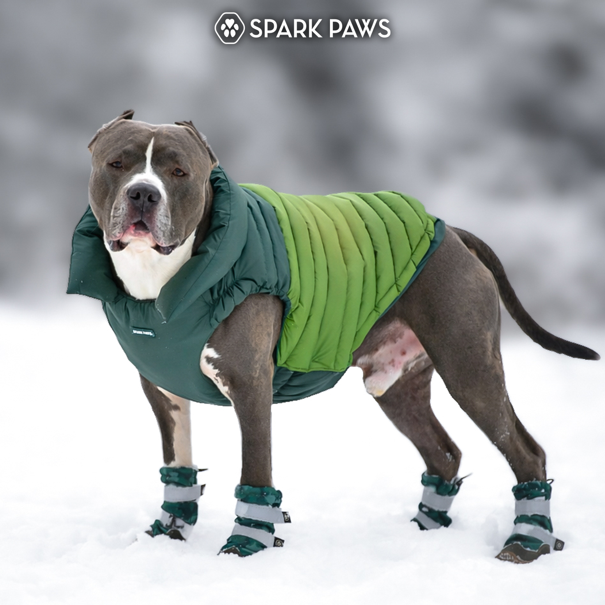 PuffShield Winter Jacket - Green - Image 9