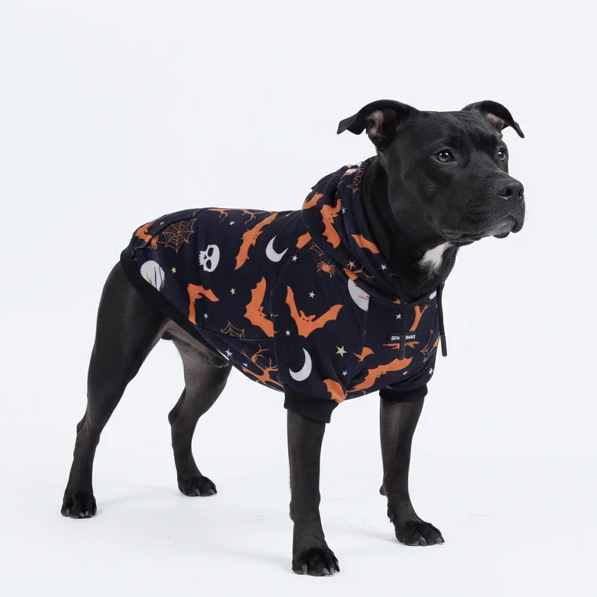 Halloween Dog Hoodie - Black