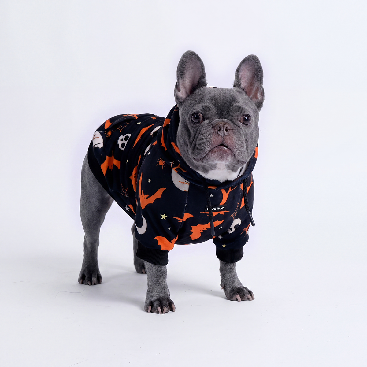 Halloween Dog Hoodie - Black - Image 11