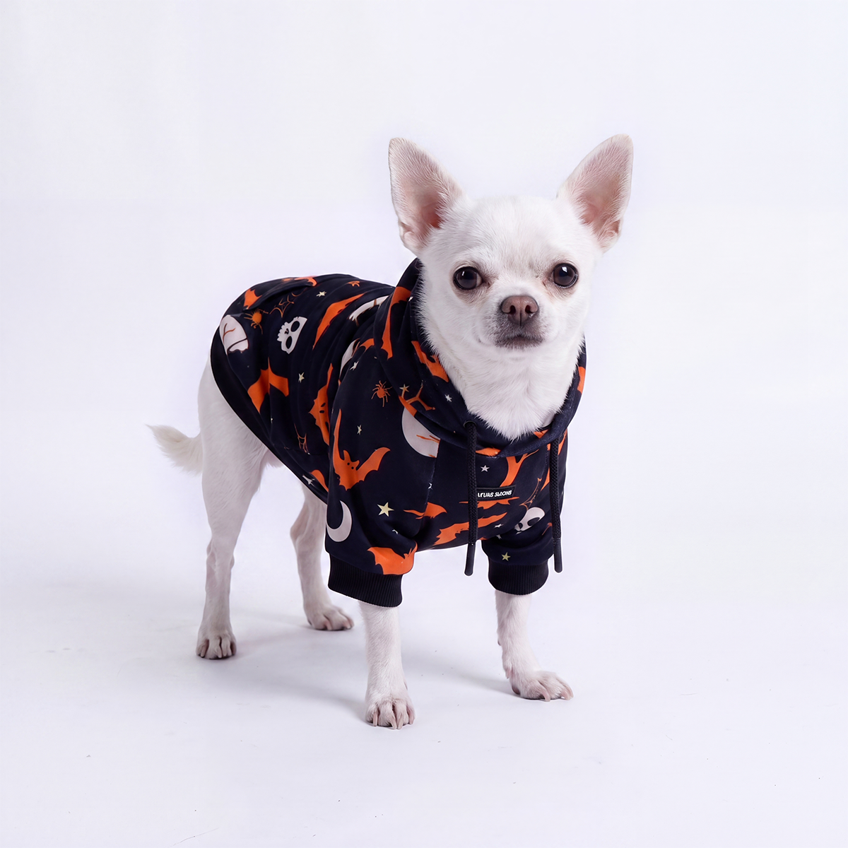 Halloween Dog Hoodie - Black - Image 2
