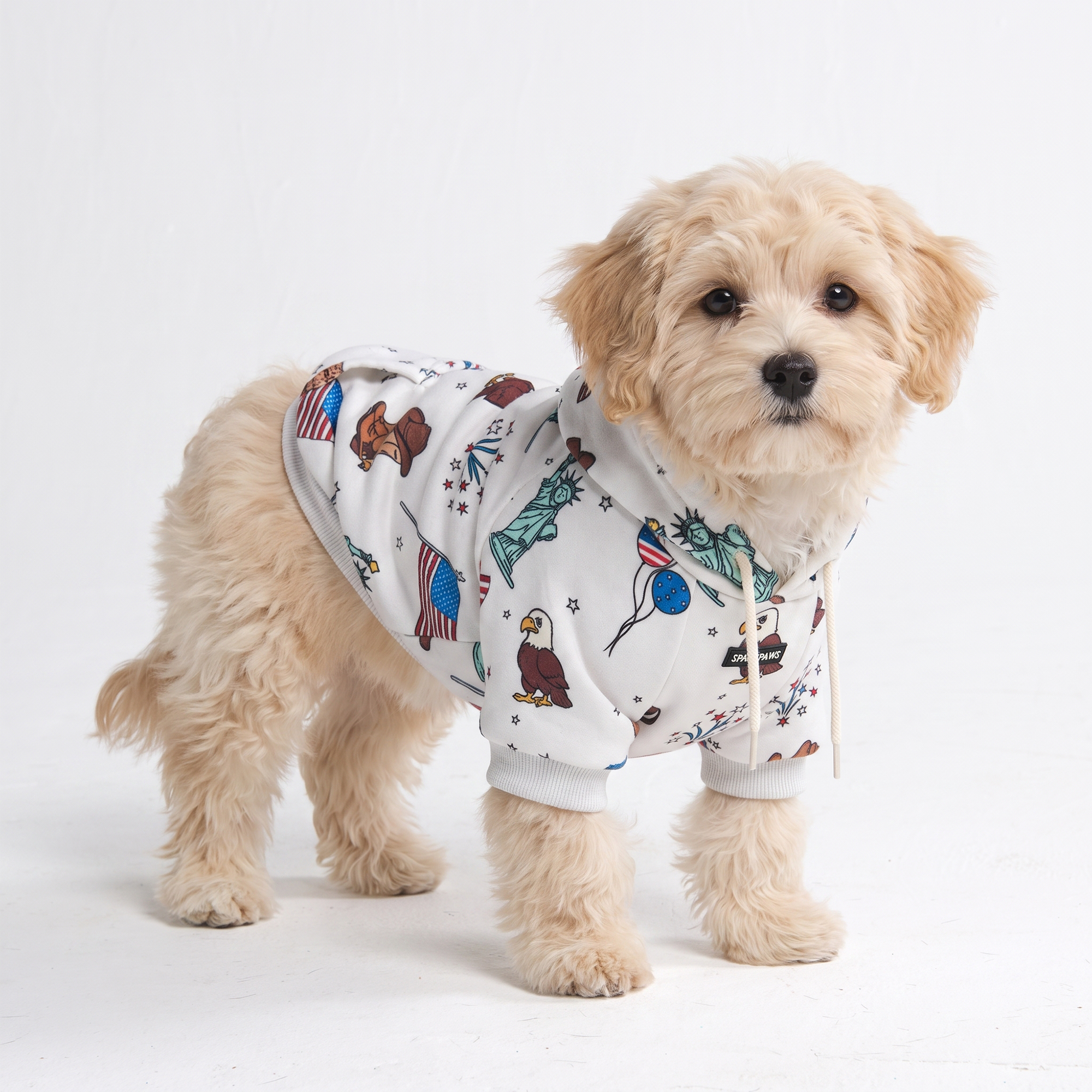 Around the World Dog Hoodies - Image 4