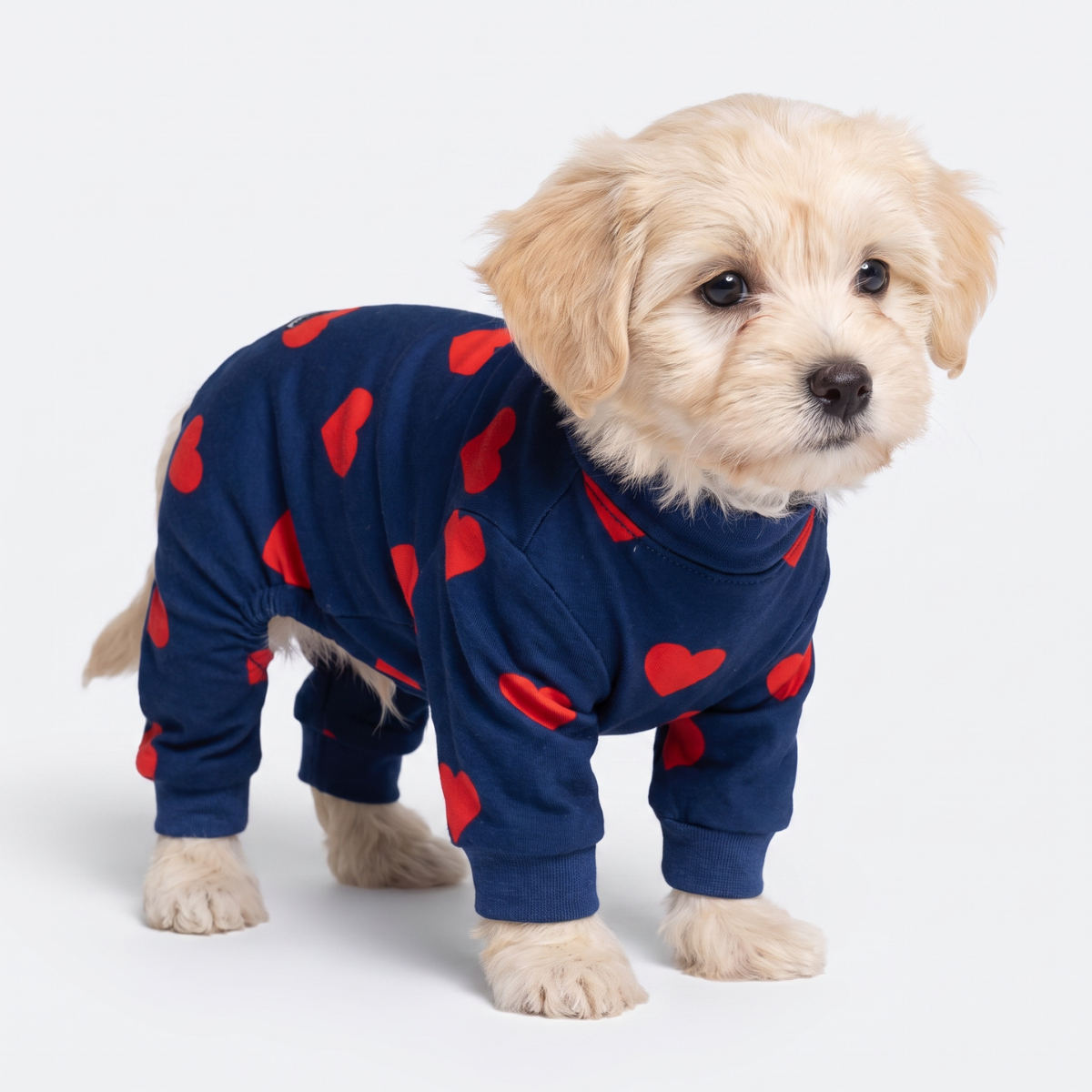 Dog Pajama - Hearts - Image 2