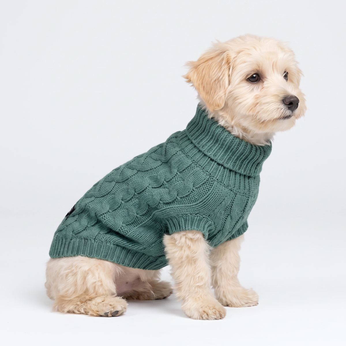 Cable Knit Dog Sweater - Pine Green - Image 2