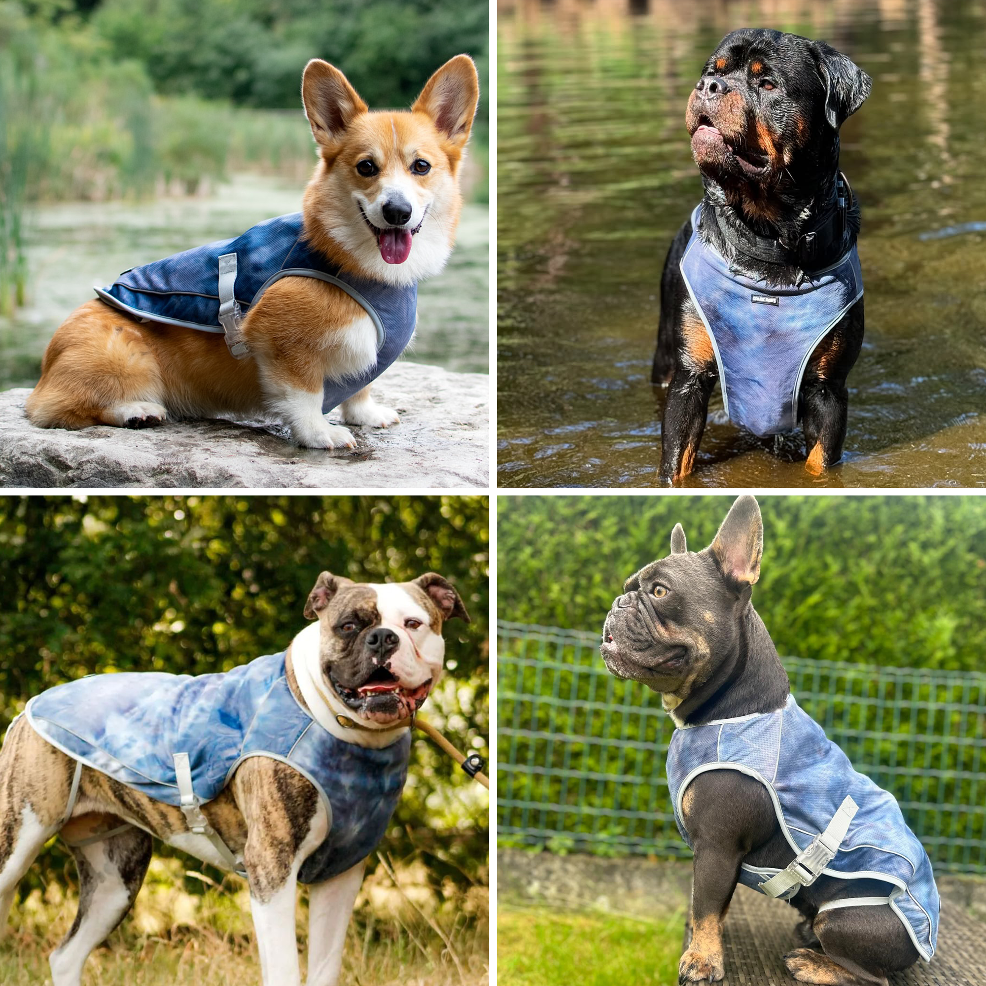 Dog Cooling Vest - Ice Blue - Image 8