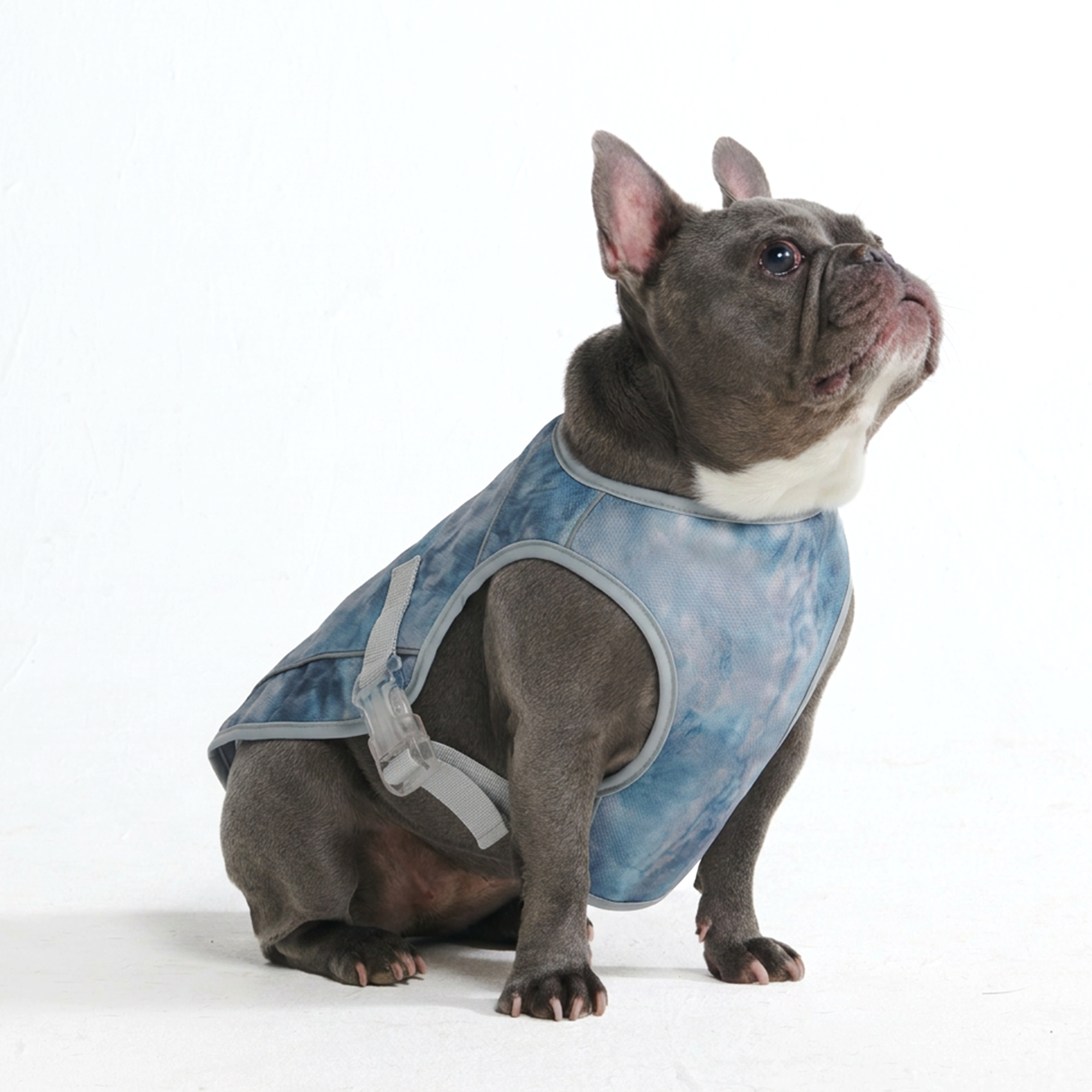 Dog Cooling Vest - Ice Blue - Image 4