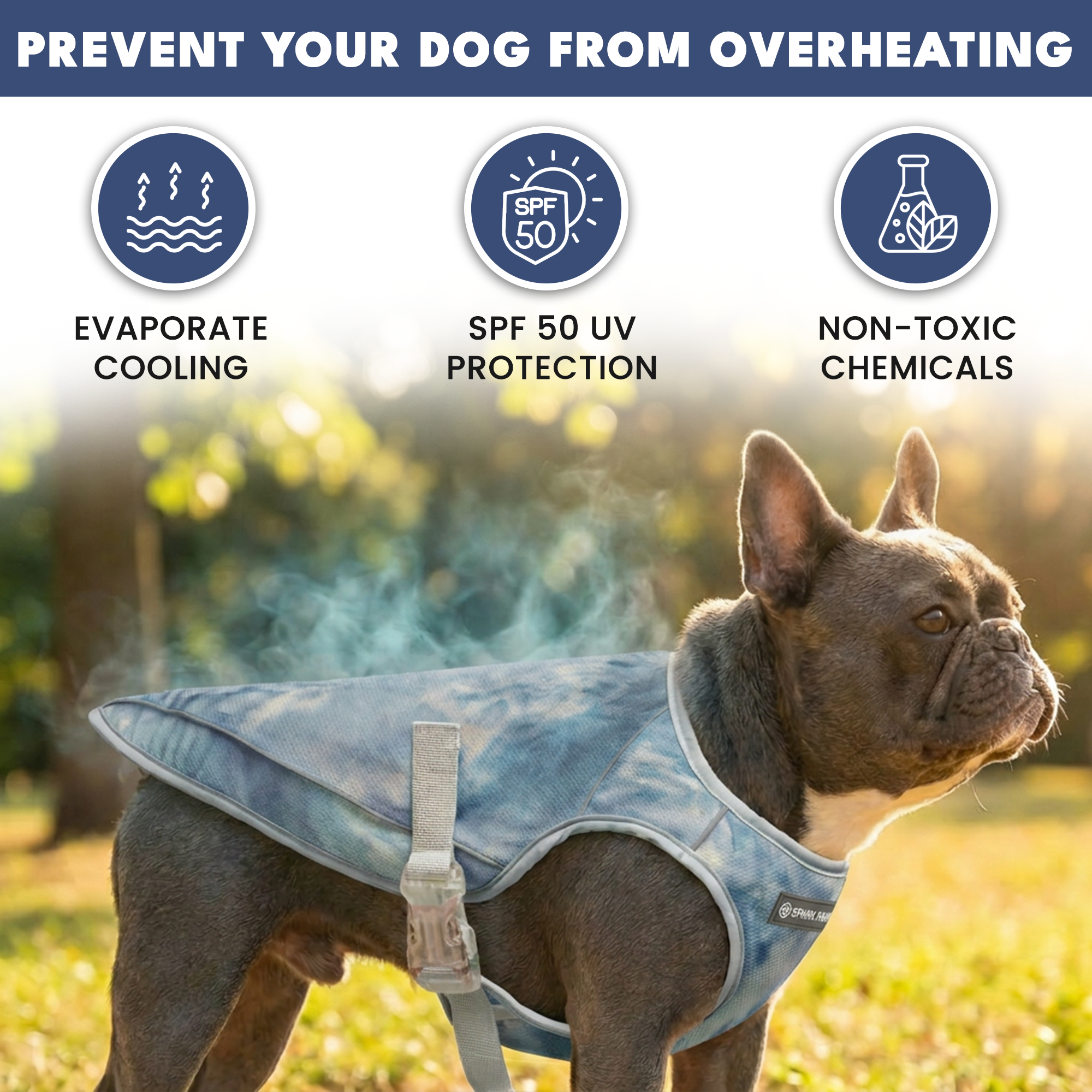 Dog Cooling Vest - Ice Blue - Image 5