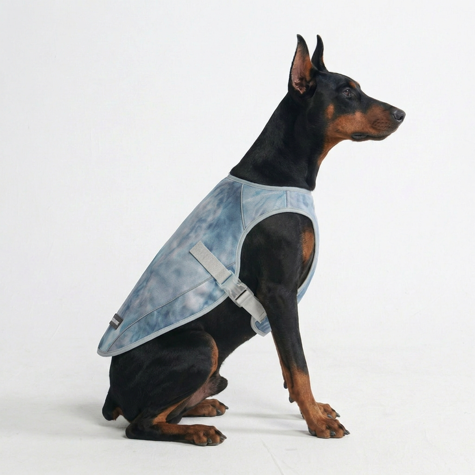 Dog Cooling Vest - Ice Blue - Image 2