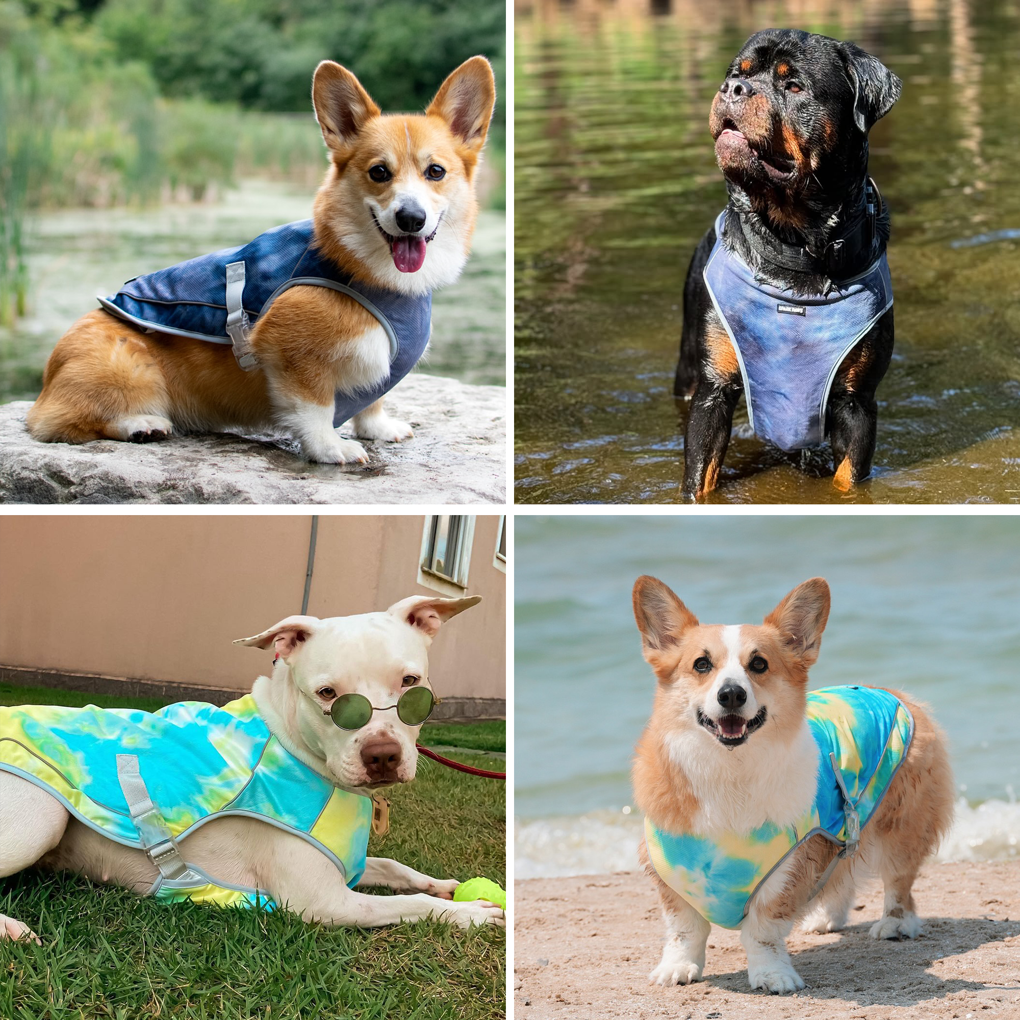 Dog Cooling Vest (2-pack) - Ice Blue & Tropical Storm - Image 6