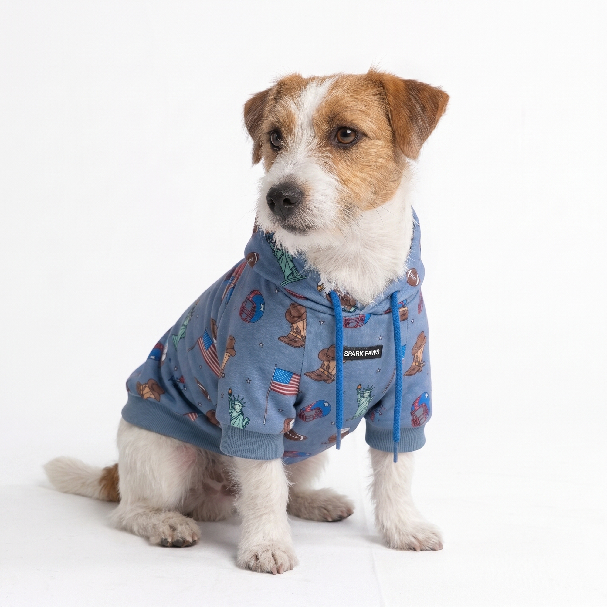 Around the World Dog Hoodies - Image 16