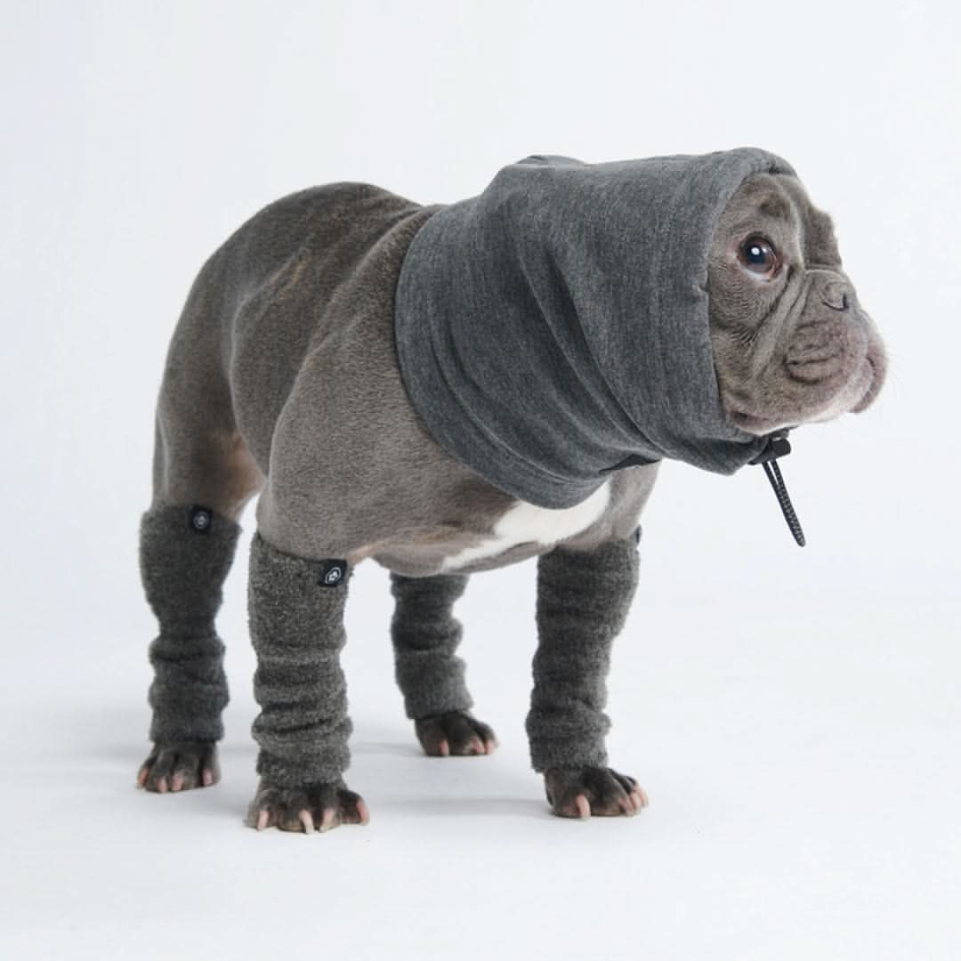 Stretchy Fleece Dog Leg Warmer Sleeves - Grey - Image 4