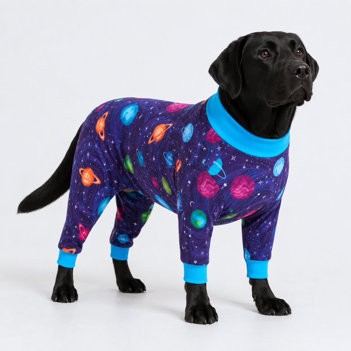 Dog Pajama - Planets - Image 5