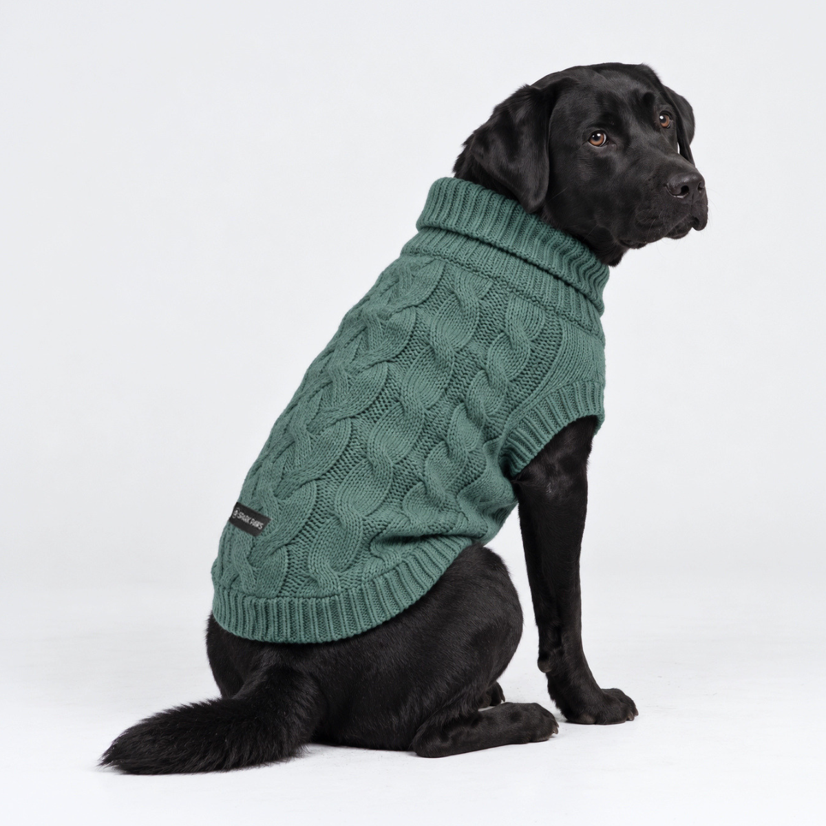 Cable Knit Dog Sweater - Pine Green - Image 7