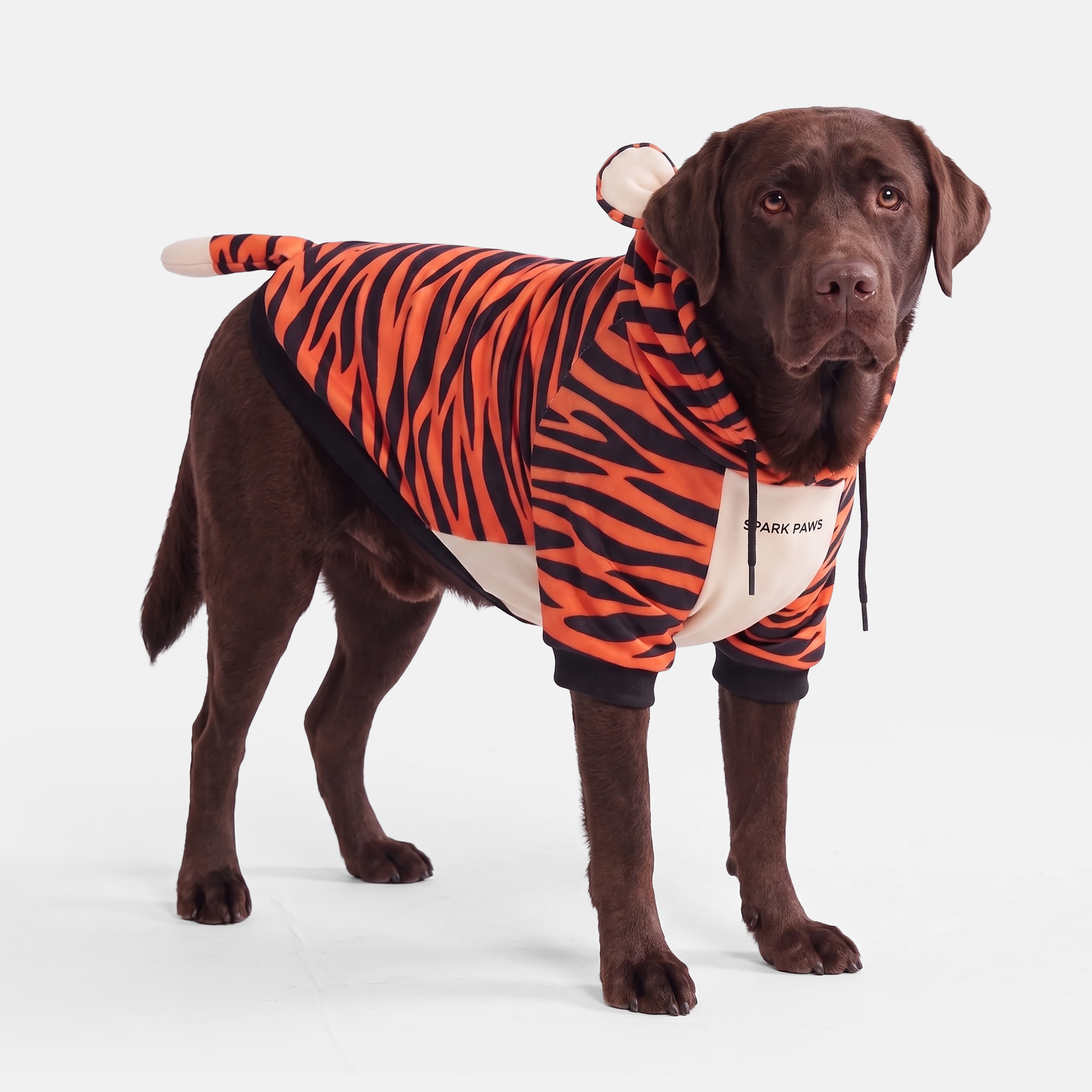 Halloween Dog Hoodie - Tiger - Image 6