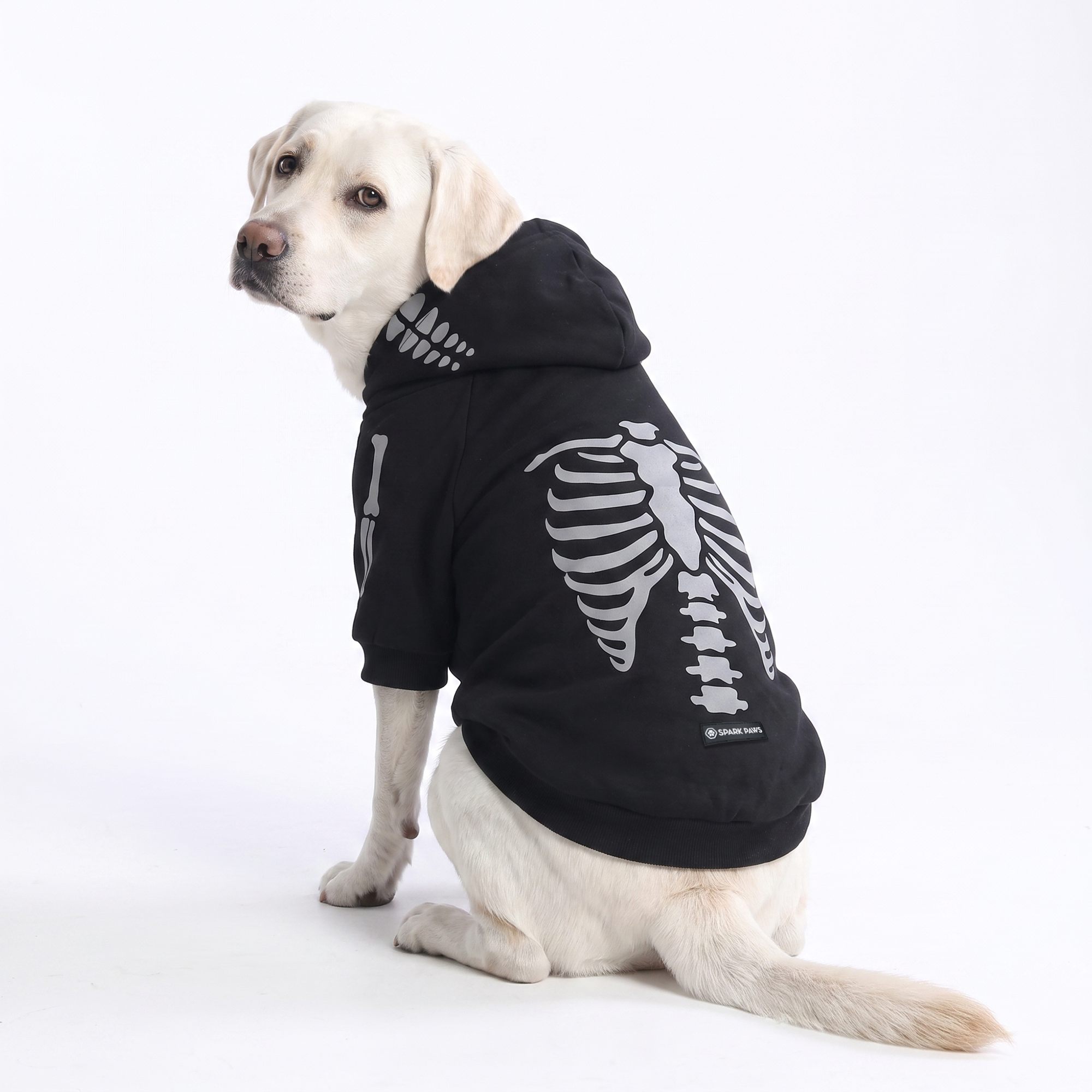 Halloween Dog Hoodie - Reflective Skeleton - Image 6