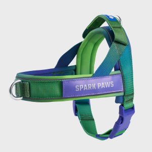 Grab & Go Harness - Lime Wave