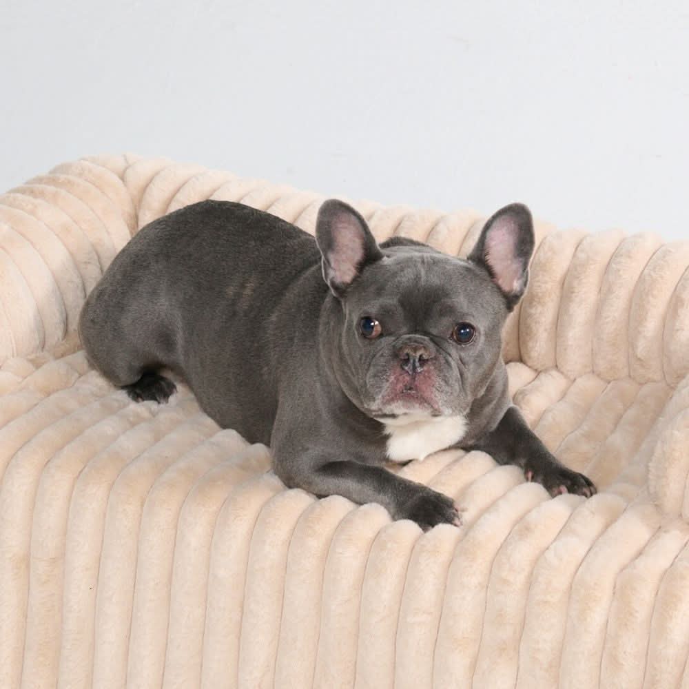 Luxury Couch Cover Dog Bed - Beige - Image 3