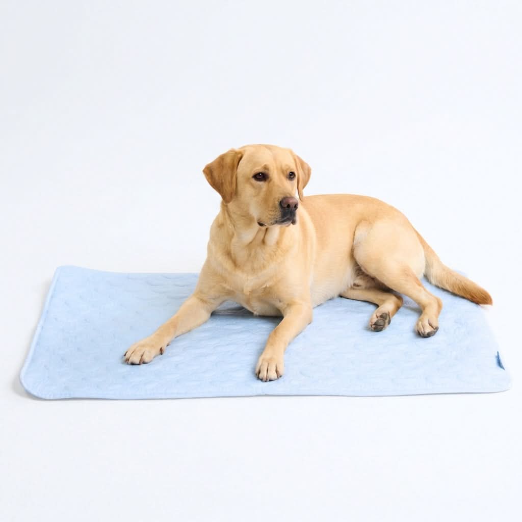 Frostcore™ Cooling Mat - Hearts Blue - Image 5