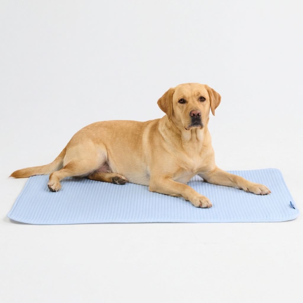 Frostcore™ Cooling Mat - Waffle Blue - Image 5
