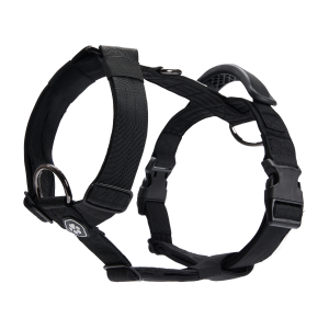 Comfort Control No-Pull Dog Harness - Black