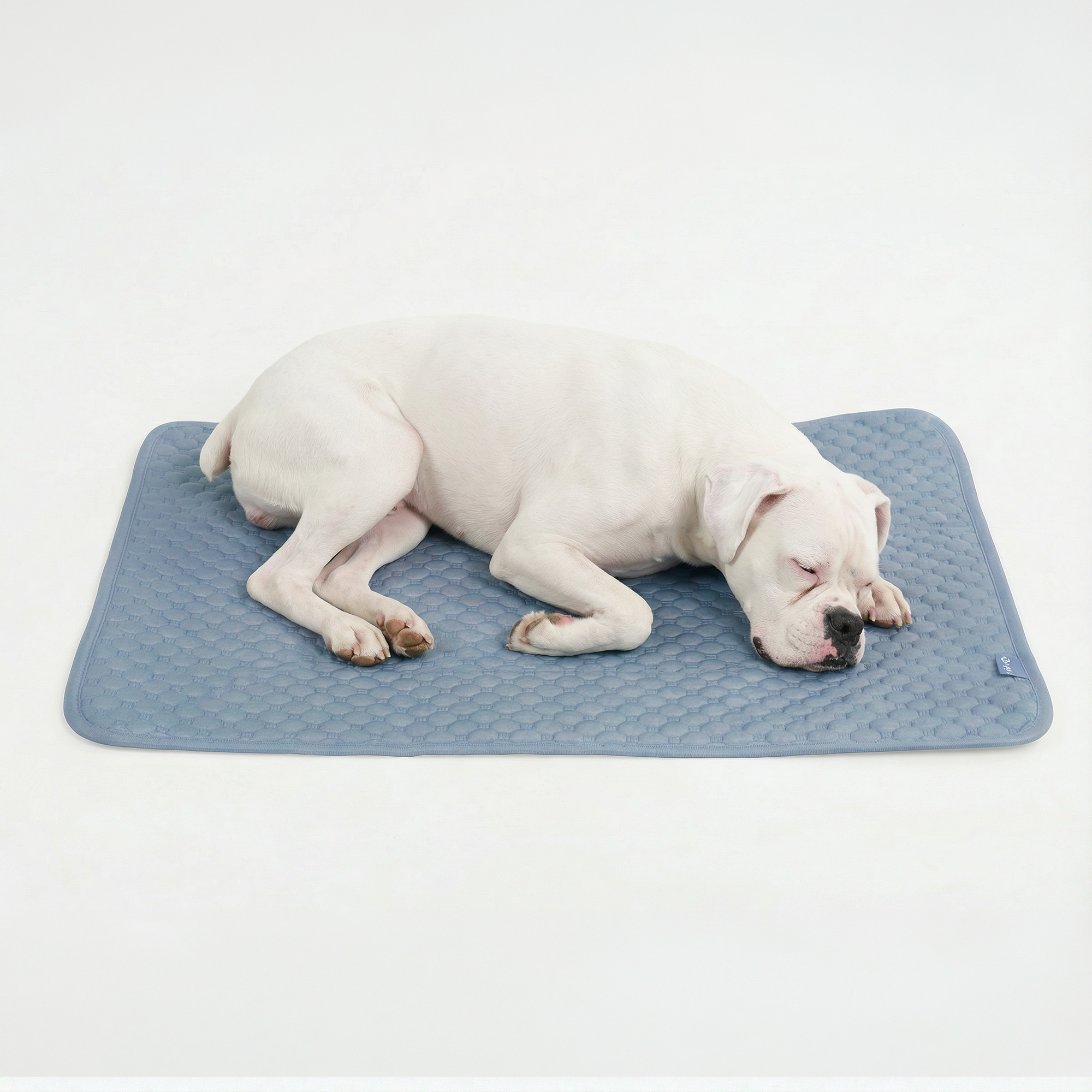 Frostcore™ Cooling Mat - Ash Blue - Image 4