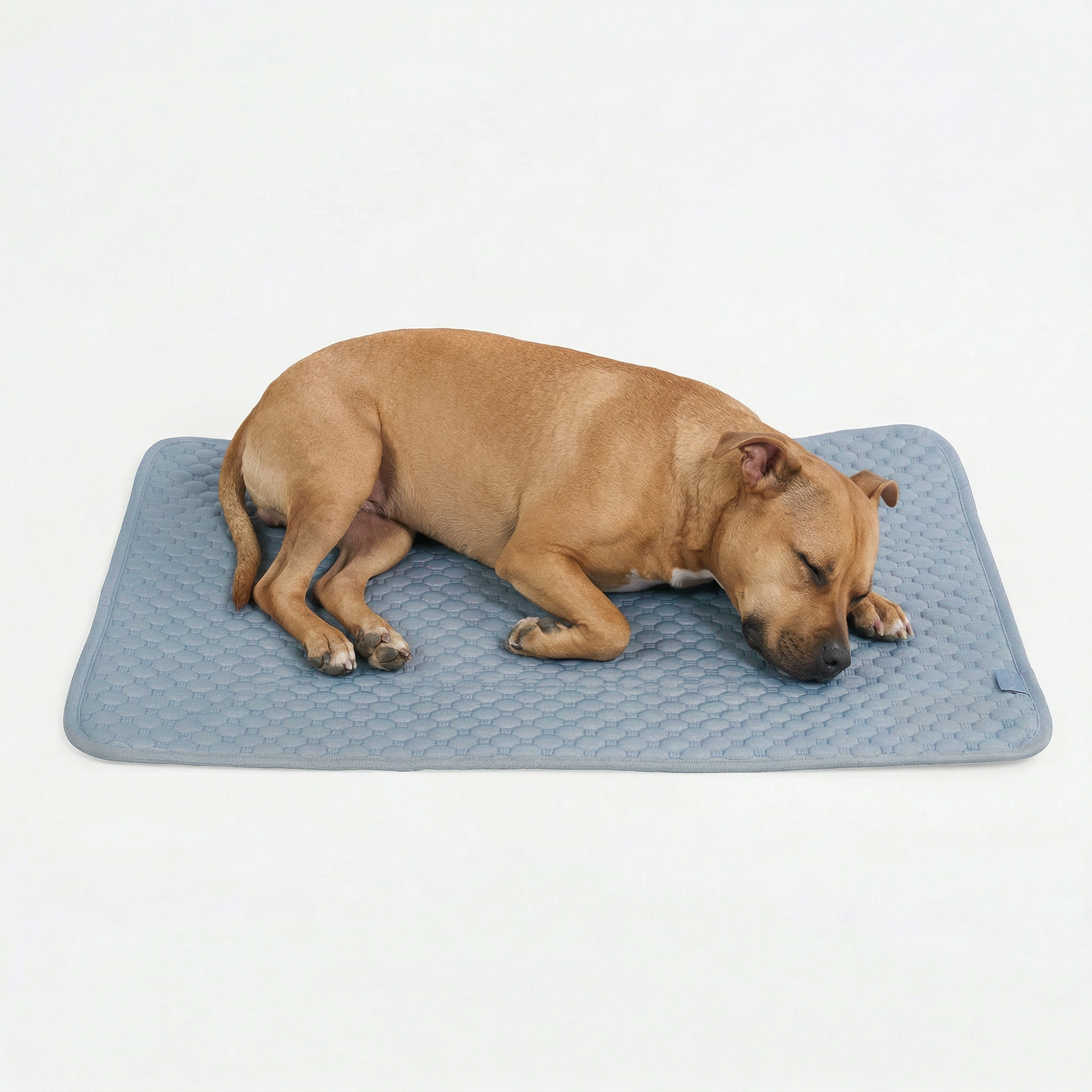 Frostcore™ Cooling Mat - Ash Blue - Image 3