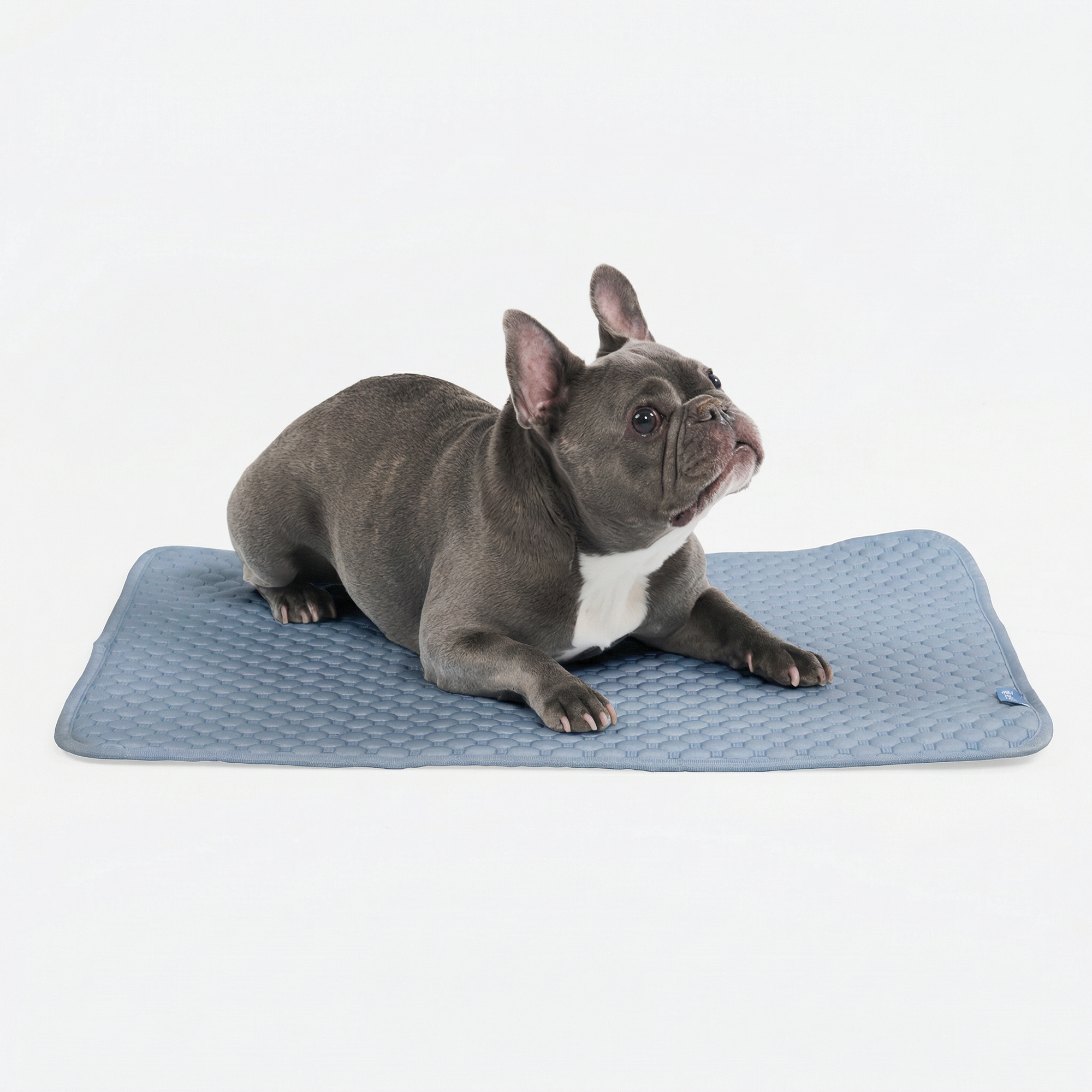 Frostcore™ Cooling Mat - Ash Blue - Image 2