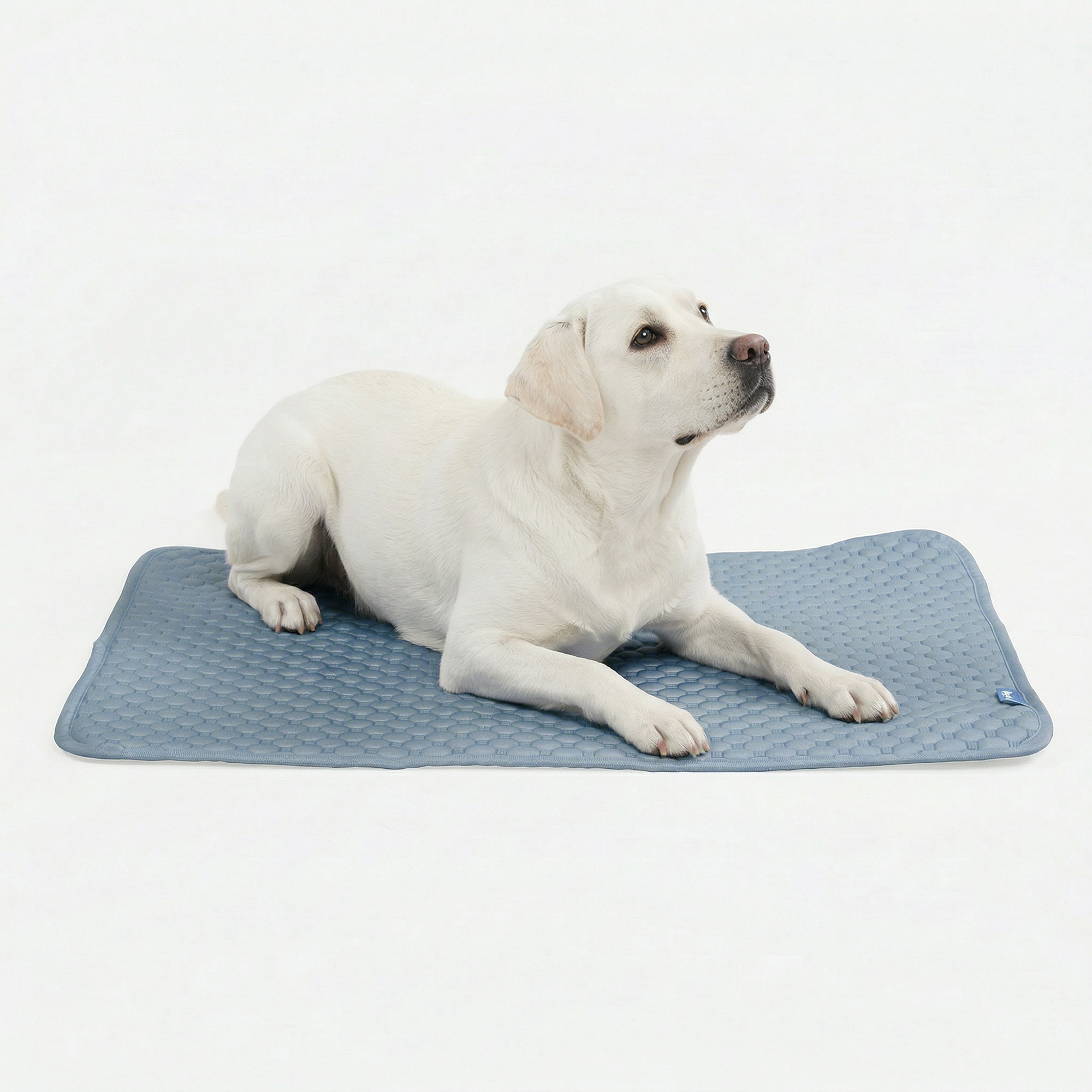 Frostcore™ Cooling Mat - Ash Blue - Image 5