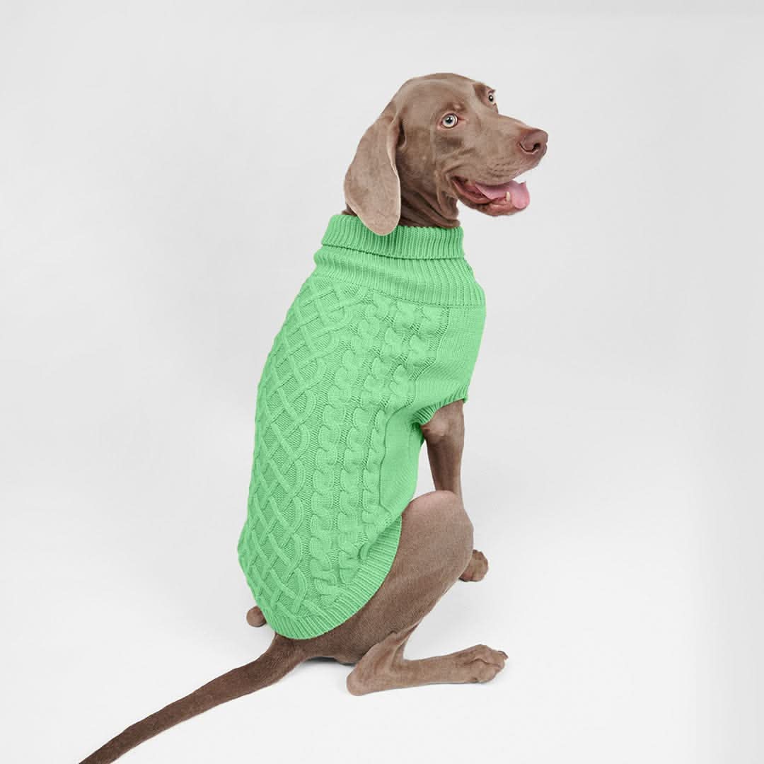 Cable Knit Dog Sweater - Mint Green - Image 4