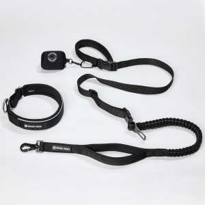 Martingale Collar and Multipurpose Leash Set - Black