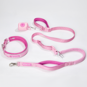 Martingale Collar and Multipurpose Leash Set - Pink