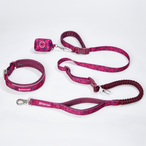 Martingale Collar and Multipurpose Leash Set - Fuchsia Camo