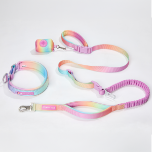 Martingale Collar and Multipurpose Leash Set - Pastel Icing
