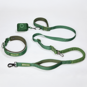 Martingale Collar and Multipurpose Leash Set - Army Green
