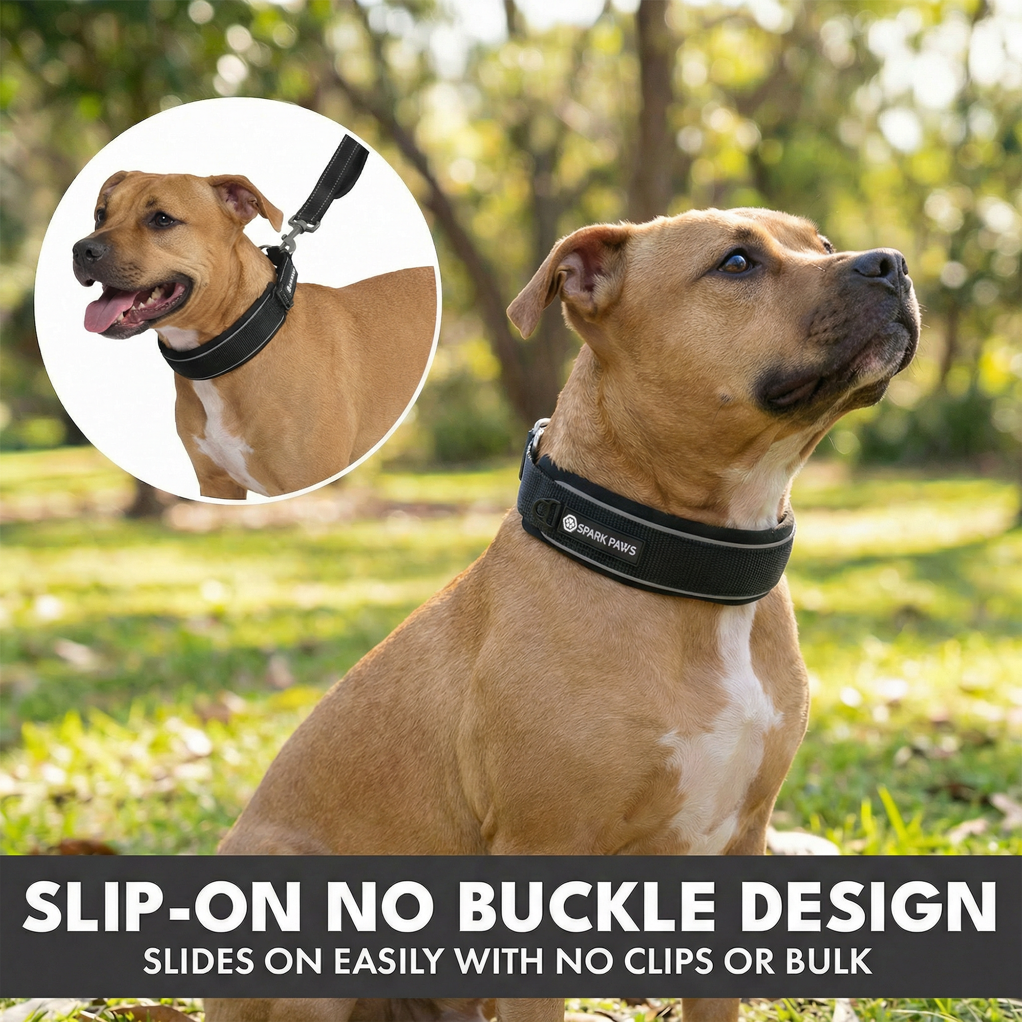 Martingale Collar and Multipurpose Leash Set - Black - Image 5