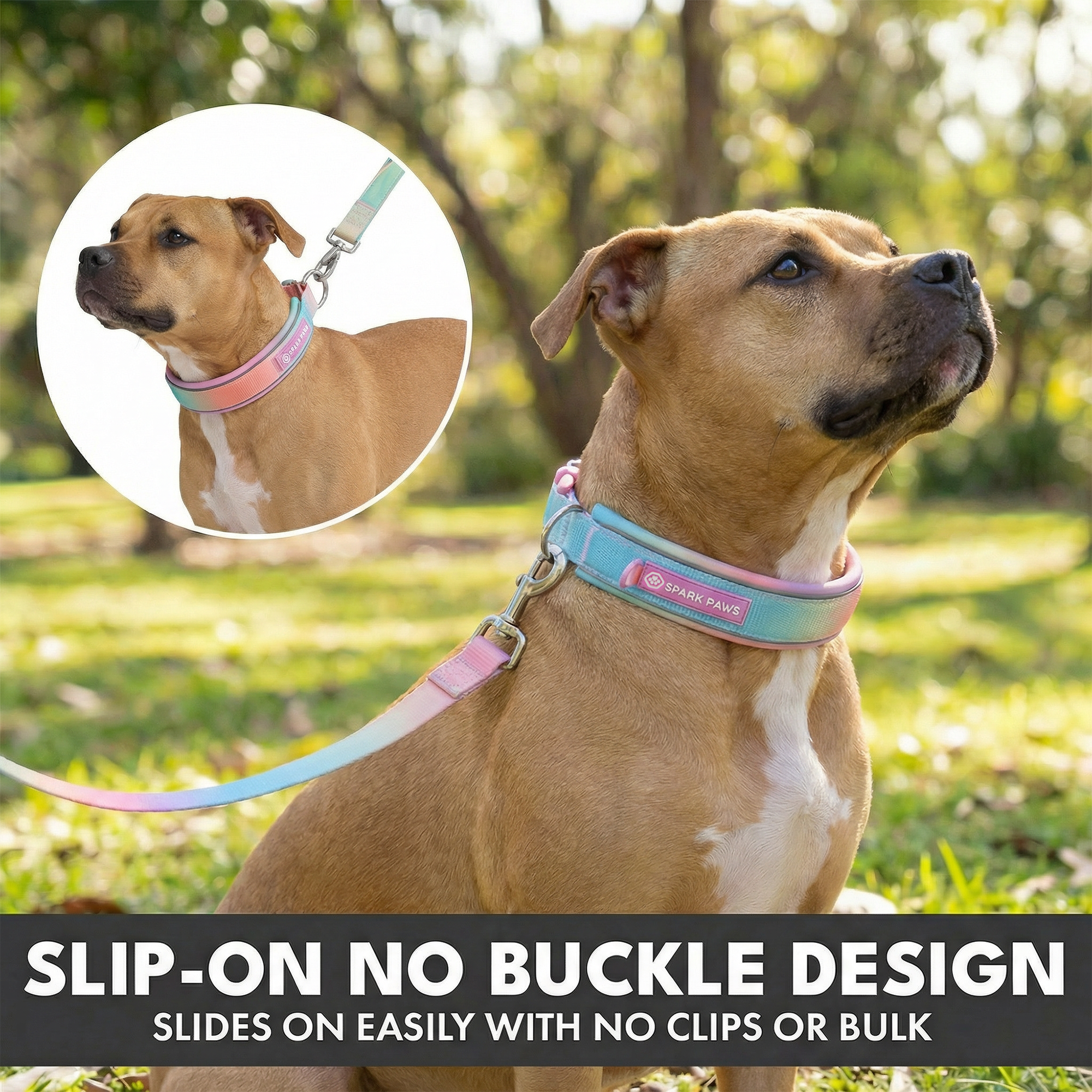 Martingale Collar and Multipurpose Leash Set - Pastel Icing - Image 5
