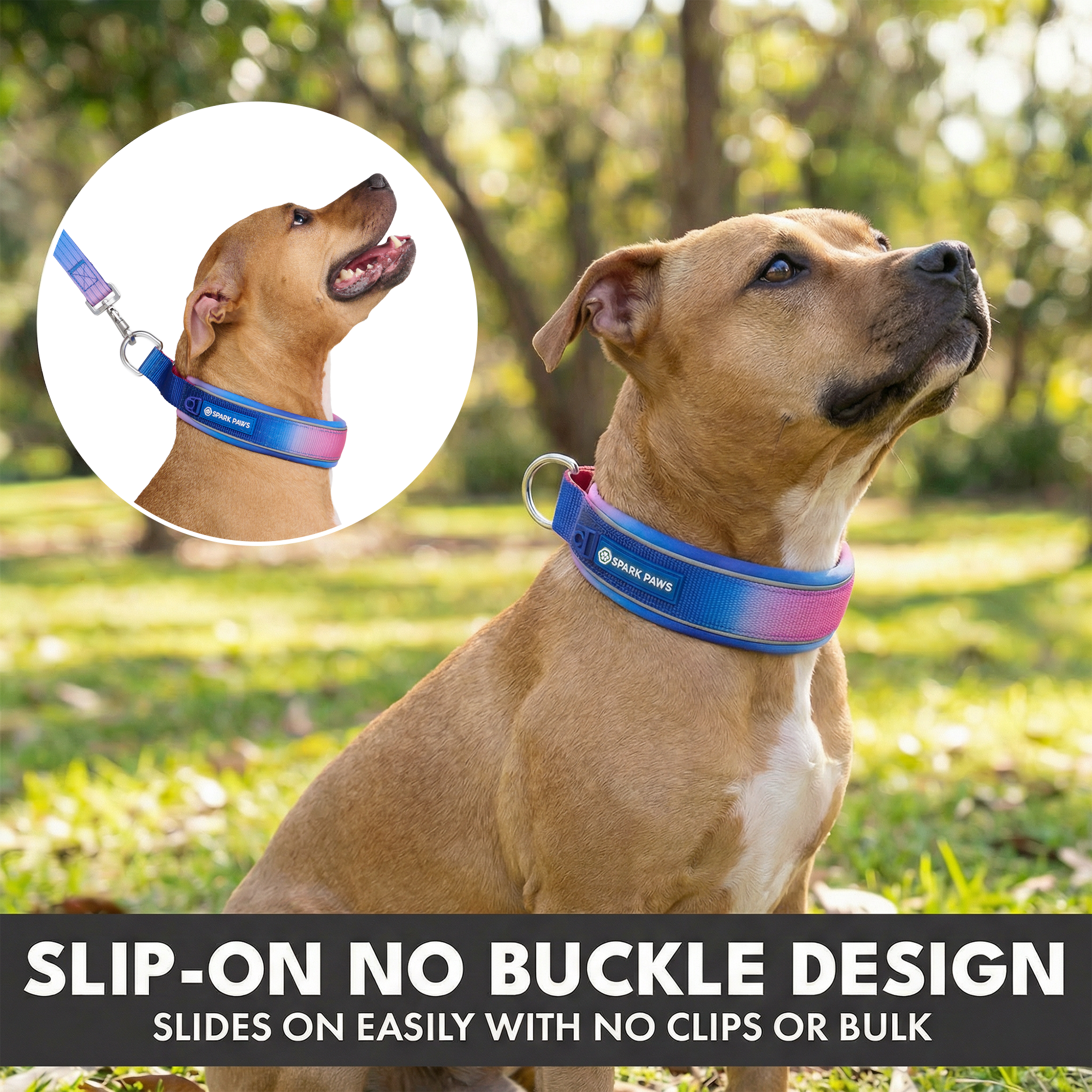 Martingale Collar and Multipurpose Leash Set - Snow Cone - Image 5