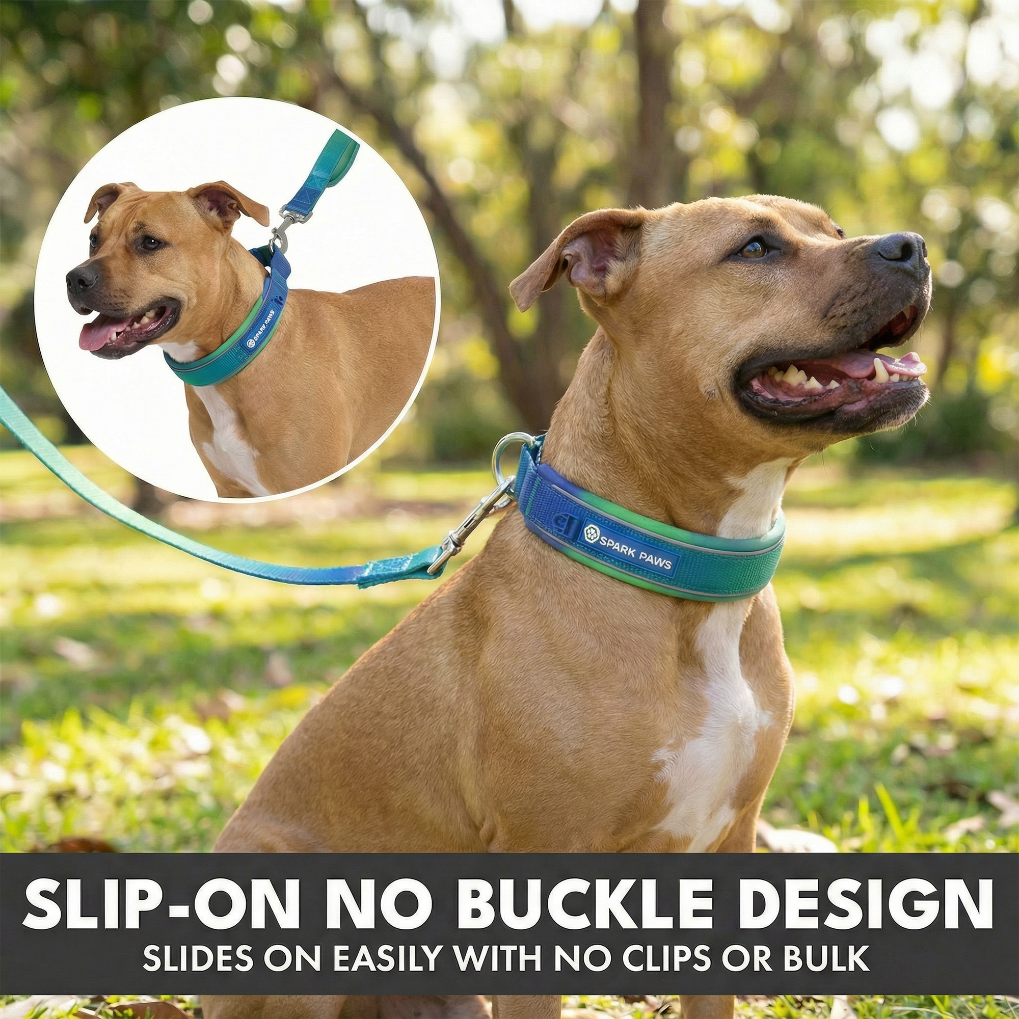 Martingale Collar and Multipurpose Leash Set - Lime Wave - Image 5